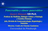 Pancreatitis y cáncer pancreático David C WhitcombDavid C Whitcomb MD Ph.D. David C Whitcomb Profesor de Medicina, Biología Celular y Fisiología y Genética.