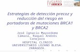 Estrategias de detección precoz y reducción del riesgo en portadoras de mutaciones BRCA1 y BRCA2 José Ignacio Mayordomo Cámara, Raquel Andrés Conejero.