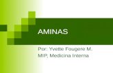 AMINAS Por: Yvette Fougere M. MIP, Medicina Interna.