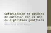 Optimización de pruebas de mutación con el uso de algoritmos genéticos UNIVERSIDAD DE GUADALAJARA Roberto Carlos Reynoso Rodríguez 1.