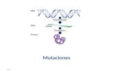 2011 Mutaciones Cuando las mutaciones Afectan a la siguiente generación? Mutaciones Que es una mutacion? Es todo cambio en la información hereditaria.