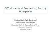 EVC durante el Embarazo, Parto y Puerperio Dr. José Luis Ruiz Sandoval Servicio de Neurología Hospital Civil de Guadalajara “Fray Antonio Alcalde” Febrero.