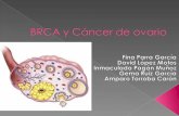 Mujer 47 años.  Hermana cáncer de mama y ovario con mutación de BRCA-1.  AG: G2 A0 P2 (2 cesareas)  Estudio previo ecográfico vaginal:  Utero polimiomatoso.