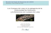 Los Cuerpos de Lewy en la patogenia de la Enfermedad de Parkinson y la Demencia con cuerpos de Lewy Javier Ruiz-Martínez Servicio de Neurología Hospitla.