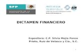 1 DICTAMEN FINANCIERO Expositora: C.P. Silvia Mejía Ponce Prieto, Ruíz de Velasco y Cía., S.C.
