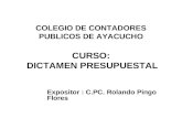 COLEGIO DE CONTADORES PUBLICOS DE AYACUCHO CURSO: DICTAMEN PRESUPUESTAL Expositor : C.PC. Rolando Pingo Flores.