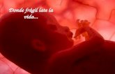 Donde frágil late la vida.... Qué es el aborto La OMS define el aborto como la Interrupción del embarazo cuando el feto todavía no es viable fuera del.