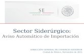 Sector Siderúrgico: Aviso Automático de Importación D IRECCIÓN G ENERAL DE C OMERCIO E XTERIOR Ciudad de México, Noviembre de 2013.