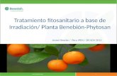 Www.benebion.com - 1 - Tratamiento fitosanitario a base de Irradiación/ Planta Benebión-Phytosan Arved Deecke / Peru IPEN / 28 NOV 2012.