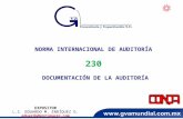 NORMA INTERNACIONAL DE AUDITORÍA 230 DOCUMENTACIÓN DE LA AUDITORÍA EXPOSITOR L.C. EDUARDO M. ENRÍQUEZ G. eduardo@enriquezg.com 1.