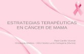 ESTRATEGIAS TERAPÉUTICAS EN CÁNCER DE MAMA Raúl Carrillo Vicente Oncología Médica – HGU Santa Lucía Cartagena (Murcia)