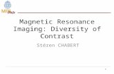 1 Magnetic Resonance Imaging: Diversity of Contrast Stéren CHABERT