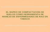EL MAPEO DE COMPACTACION DE SUELOS COMO HERRAMIENTA DE MANEJO DE ENFERMEDADES DE RAIZ EN TABACO.