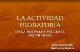 LA ACTIVIDAD PROBATORIA Javier Arévalo Vela Magíster en Derecho EN LA NUEVA LEY PROCESAL DEL TRABAJO.