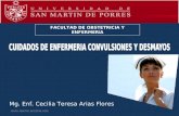FACULTAD DE OBSTETRICIA Y ENFERMER Í A Mg. Enf. Cecilia Teresa Arias Flores .