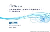 1 Necesidades y expectativas hacia la COPARMEX. Resumen Ejecutivo Mayo, 2006.