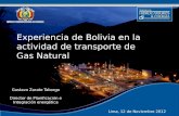 Ministerio de Hidrocarburos y Energía Lima, 12 de Noviembre 2012 Experiencia de Bolivia en la actividad de transporte de Gas Natural Gustavo Zarate Taborga.
