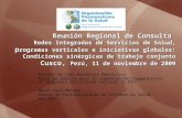 Reunión Regional de Consulta Redes Integradas de Servicios de Salud, p rogramas verticales e iniciativas globales: Condiciones sinérgicas de trabajo conjunto.