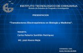 INSTITUTO TECNOLOGICO DE CHIHUAHUA División de Estudios de Posgrado e Investigación “Transductores Electroquímicos en Biología y Medicina”. TESISTA: Carlos.