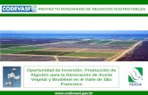 1  PROYECTO INTEGRADO DE NEGOCIOS SUSTENTABLES Oportunidad de Inversión: Producción de Algodón para la Generación de Aceite Vegetal.