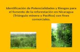 Identificación de Potencialidades y Riesgos para el fomento de la reforestación en Nicaragua (Triángulo minero y Pacífico) con fines comerciales.