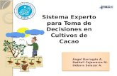 Ángel Barragán A. Nathali Cajamarca M. Débora Salazar A. Sistema Experto para Toma de Decisiones en Cultivos de Cacao.