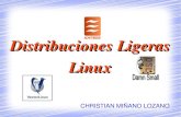 Distribuciones Ligeras de Linux