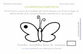 SIMETRIA Las Mariposas 1