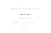 Algebra Lineal (Libro) - Lezama