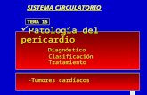 Patología del pericardio Diagnóstico Clasificación Tratamiento -Tumores cardíacos SISTEMA CIRCULATORIO TEMA 15.