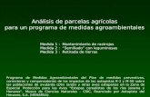 Análisis de parcelas agrícolas para un programa de medidas agroambientales Medida 1 : Mantenimiento de rastrojos Medida 2 : Semillado con leguminosas Medida.