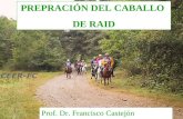 PREPRACIÓN DEL CABALLO DE RAID Prof. Dr. Francisco Castejón Montijano.