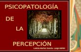PSICOPATOLOGÍA PERCEPCIÓN DE LA Leticia Muñoz García- Largo MIRIII.