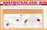 Ejercicios De Fortalecimiento (Musculaci³n) Tomados De Muscle & Fitness - 102 Pags En Pdf