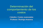 Determinación del comportamiento de los costos Cátedra: Costos avanzados Profesor: Rodrigo Aravena.