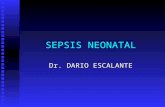 SEPSIS NEONATAL Dr. DARIO ESCALANTE. DEFINICION: Ssíndrome clínico caracterizado por la presencia de los signos sistémicos de infección acompañados de.
