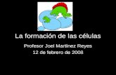 La formación de las células Profesor Joel Martínez Reyes 12 de febrero de 2008.