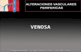 VENOSA. SISTEMA SUPERFICIAL SISTEMA PROFUNDO Venas comunicantes y perforantes Válvulas Fuerzas La pared venosa está compuesta por tres capas: Intima: