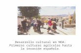 Desarrollo cultural en NOA: Primeras culturas agrícolas hasta la invasión española.