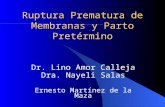Ruptura Prematura de Membranas y Parto Pretérmino Dr. Lino Amor Calleja Dra. Nayeli Salas Ernesto Martínez de la Maza.