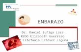 EMBARAZO Dr. Daniel Zuñiga Lara R2GO Elizabeth Guerrero IP Estefania Estévez Laguna.