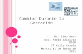 Cambios Durante la Gestación Dr. Lino Amor Dra. Karla Saldivar R1GO IP Karla Varela Martes 11 de Enero de 2011.
