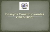Ensayos Constitucionales (1823-1830). La elite criolla debió tomar decisiones sobre como organizar el país Estas decisiones estuvieron influidas por una.