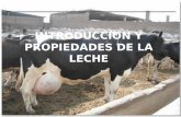 INTRODUCCION Y PROPIEDADES DE LA LECHE. La crianza de ganado ha sido una de las bases en el surgimiento de la industria alimentaria Producción de leche.