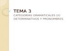 TEMA 3 CATEGORAS GRAMATICALES (II) DETERMINATIVOS Y PRONOMBRES