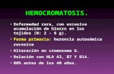 HEMOCROMATOSIS. Enfermedad rara, con excesiva acumulación de hierro en los tejidos (N: 2 - 6 g). Forma primaria: herencia autosómica recesiva Alteración.