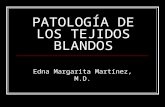 PATOLOGÍA DE LOS TEJIDOS BLANDOS Edna Margarita Martínez, M.D.