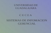 SISTEMAS DE INFOMACION GERENCIAL UNIVERSIDAD DE GUADALAJARA C U C E A.