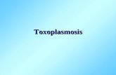 Toxoplasmosis. Toxoplasmosis Infección por Toxoplasma gondii que se caracteriza por producir trastornos en varios órganos del cuerpo y cuyas manifestaciones.