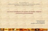 Los Censos de Población y los estudios de Familias Indígenas: Limitaciones y Potencialidades Fabiana Del Popolo Ana María Oyarce CELADE-División de Población.